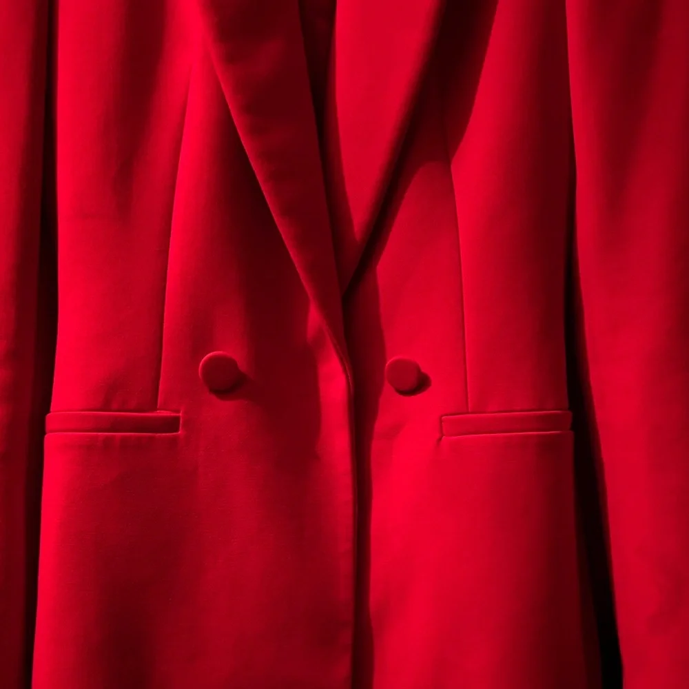 Zara Blazer - Picture 5 of 6